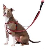 2 Hounds Design 2 Hounds Design Freedom No-Pull 5/8" Harness Reflective Red Small