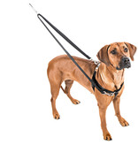 2 Hounds Design 2 Hounds Design Freedom No-Pull 1" Harness | Kelly Green Large