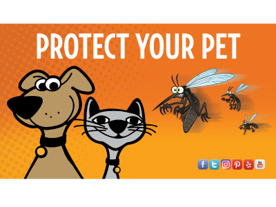 Natural Flea & Tick Remedies for Cats and Dogs