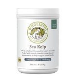 Wholistic Pet Organics Wholistic Pet Organics Pure Sea Kelp 4 oz