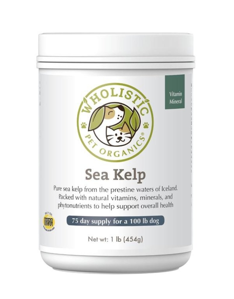Wholistic Pet Organics Wholistic Pet Organics Pure Sea Kelp 4 oz