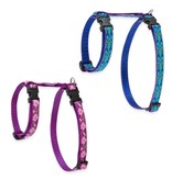 Lupine Lupine Cat H-Harness | Rain Song 9-14"