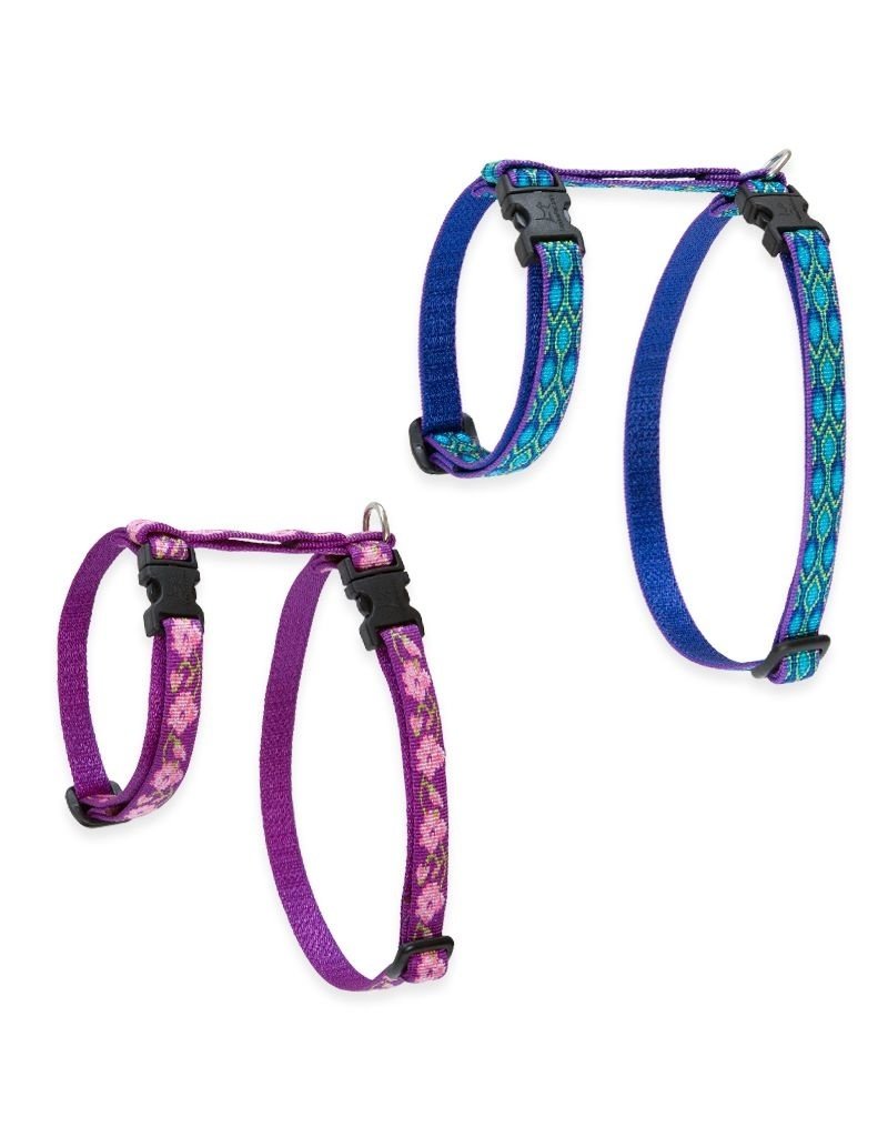 Lupine Lupine Cat H-Harness | Rain Song 9-14"