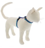 Lupine Lupine Cat H-Harness | Rain Song 9-14"