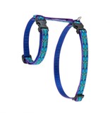Lupine Lupine Cat H-Harness | Rain Song 9-14"