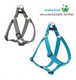 Lupine Lupine Eco Cat H-Harness | Tropical Sea 12-20"