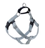 2 Hounds Design 2 Hounds Design Freedom No-Pull 5/8" Harness | Silver Small