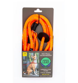 Harness Lead Harness Lead | Orange Reflective Small 14-40 lbs