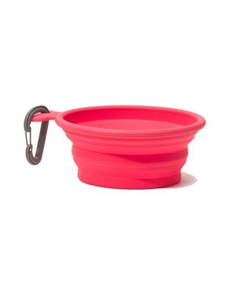 Messy Mutts Messy Mutts | Collapsible Silicone Bowl Watermelon Medium