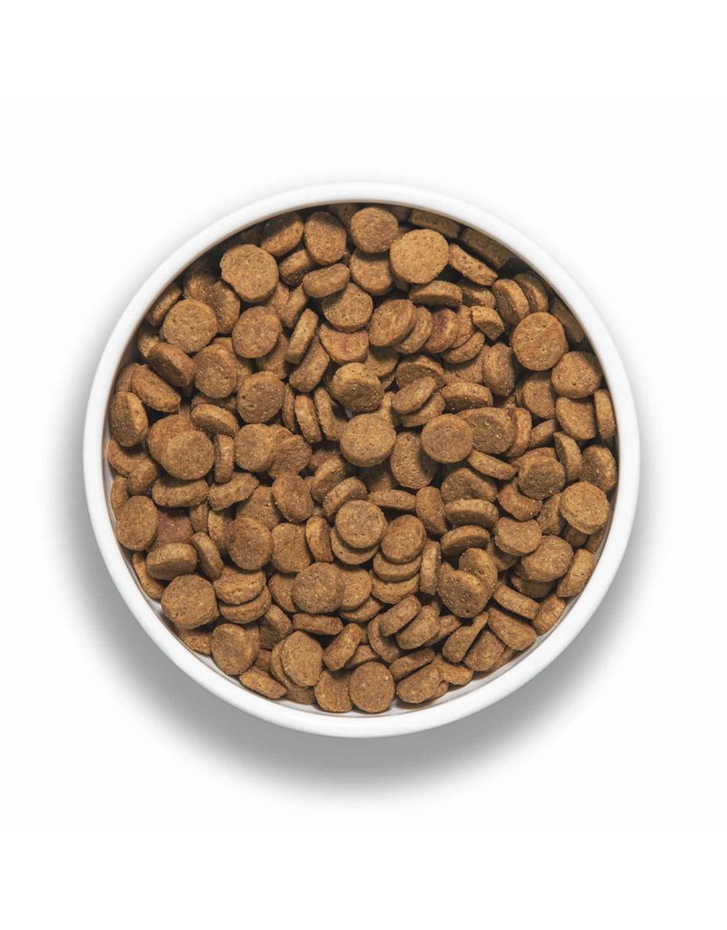 Bixbi Bixbi Rawbble Dog Kibble | Lamb 24 lb