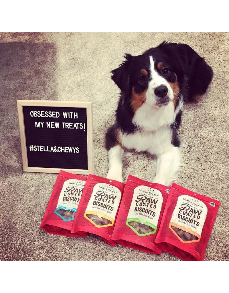 Stella & Chewy's Stella & Chewy's Raw Coated Biscuits | Cage-Free Chicken 9 oz