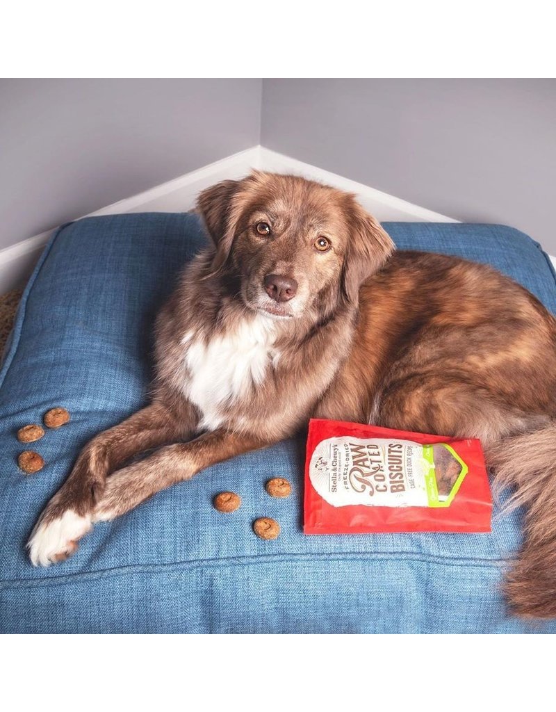 Stella & Chewy's z Stella & Chewy's Raw Coated Biscuits | Cage-Free Duck 9 oz