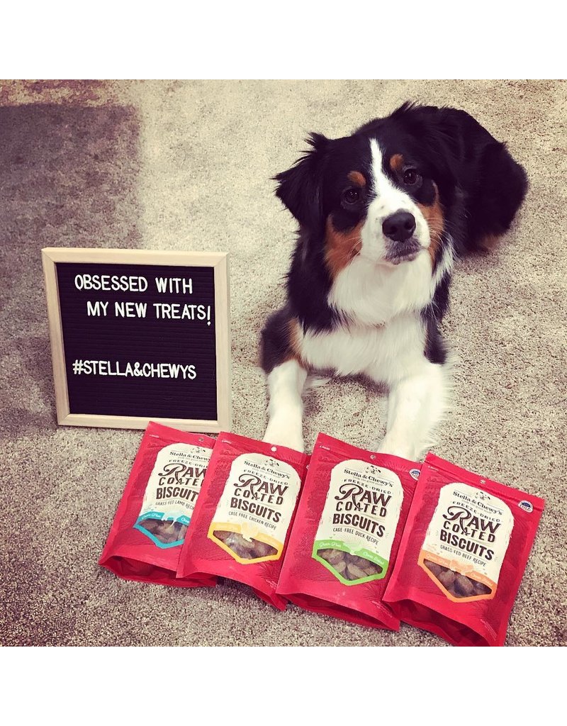 Stella & Chewy's z Stella & Chewy's Raw Coated Biscuits | Cage-Free Duck 9 oz