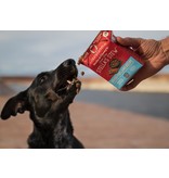 Stella & Chewy's Stella & Chewy's Canned Dog Food | Grass-Fed Lamb 11 oz CASE