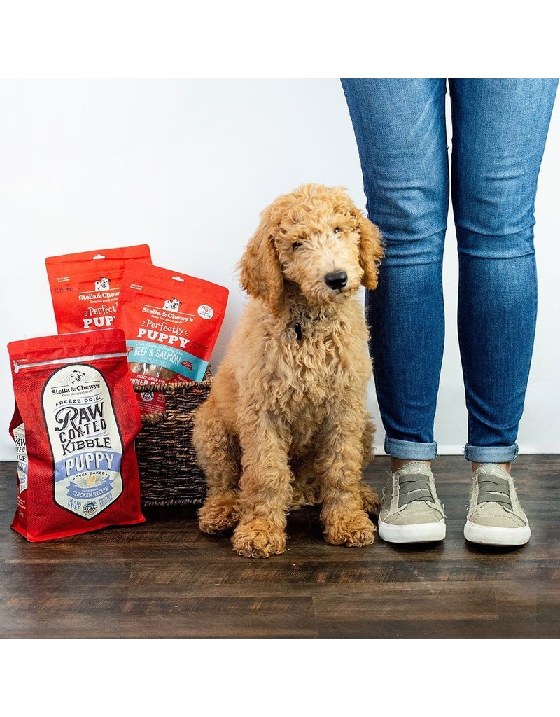 Stella & Chewy's z Stella & Chewy's Raw Coated Dog Kibble | Puppy 3.5 lb