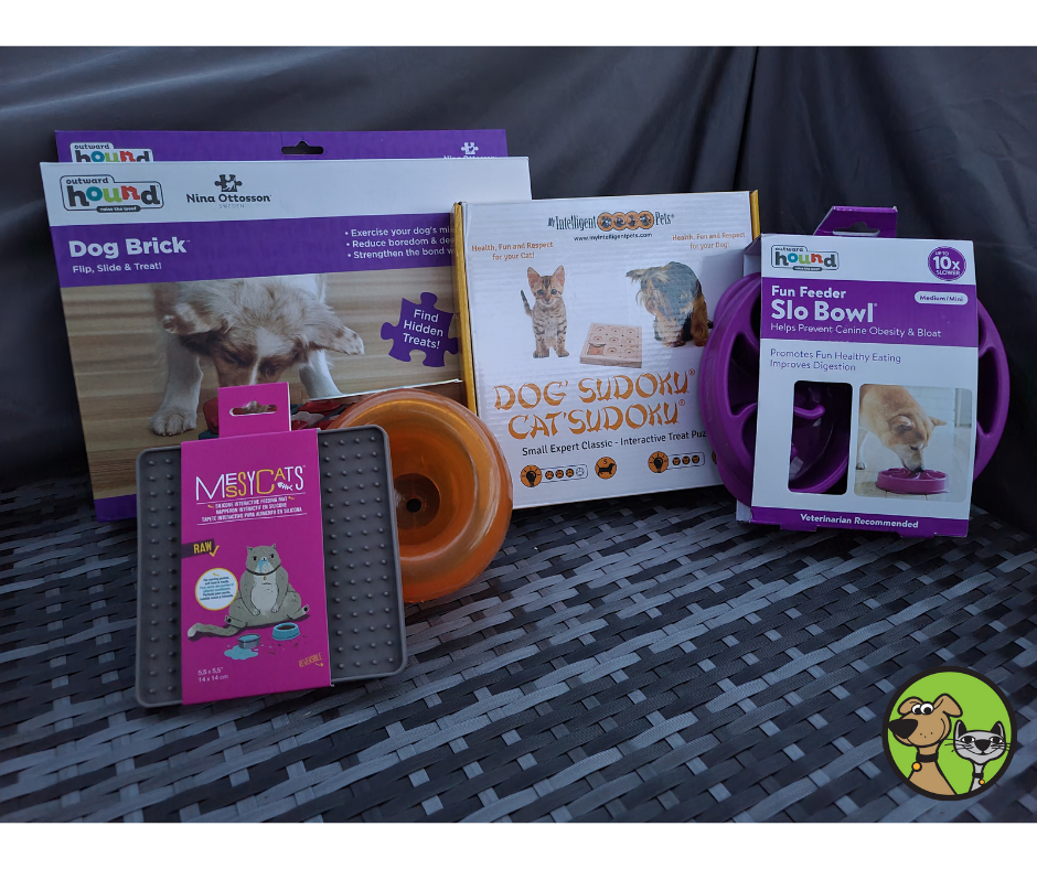 Back To School For Cats & Dogs With Interactive Puzzle Toys - The