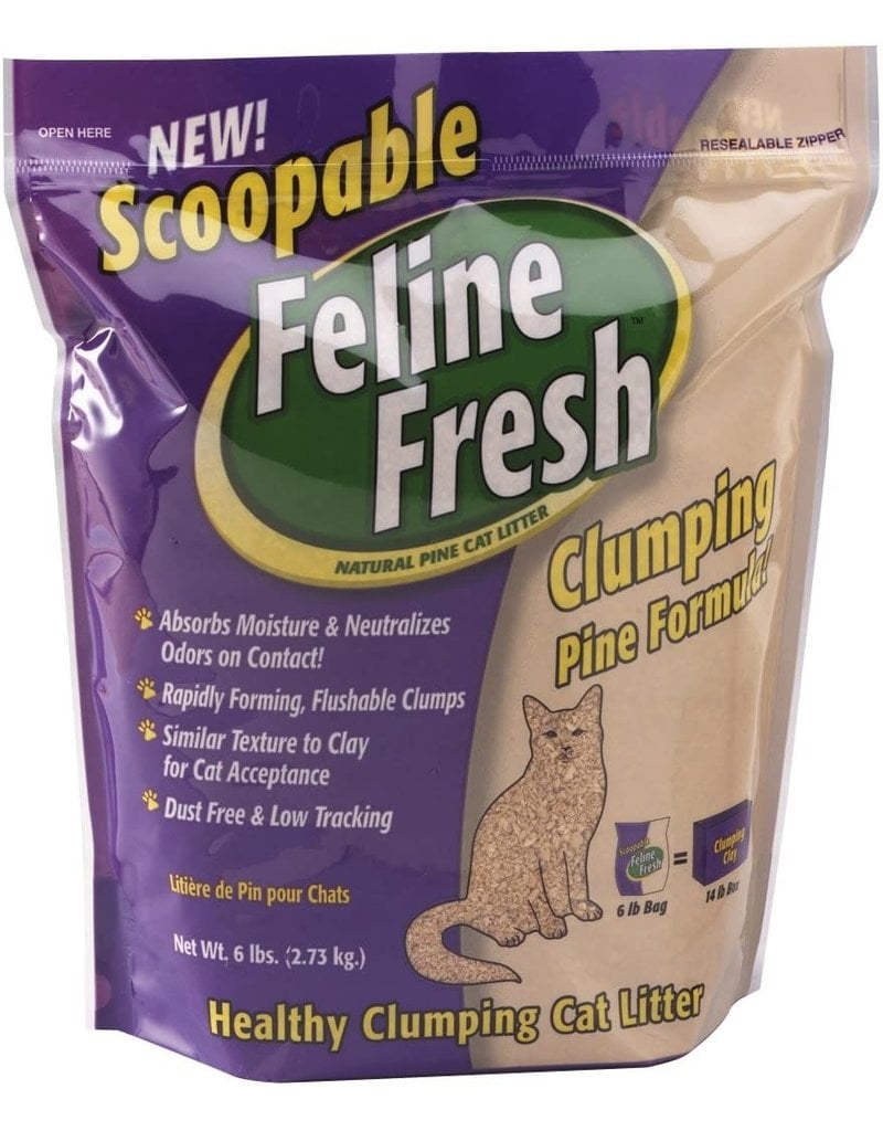 yellow bag cat litter