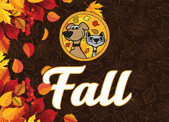 Fall