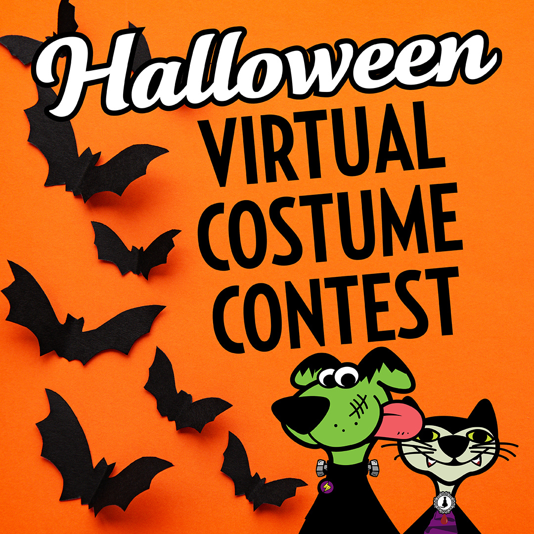 2020 Virtual Pet Costume Contest - Naturally 4 Paws