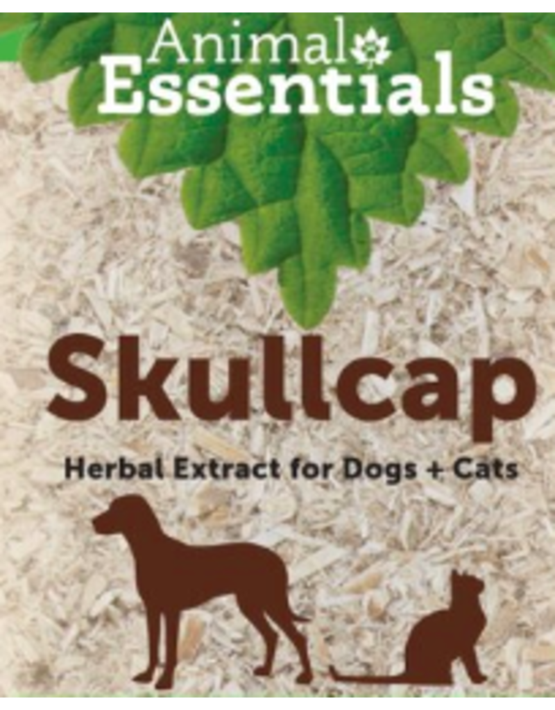 Animal Essentials Tinctures Skullcap 4 Oz The Pet Beastro The Pet Beastro