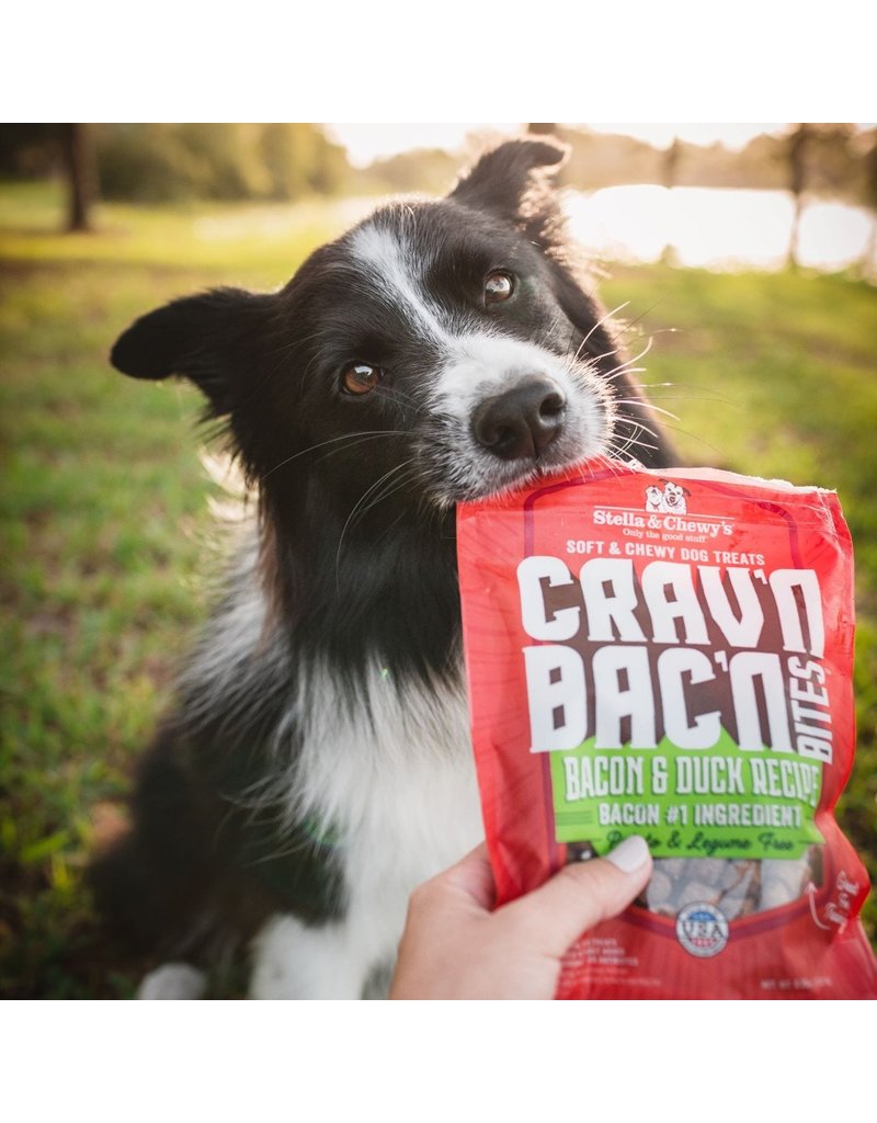 Stella & Chewy's Stella & Chewy's Crav'n Bac'n | Bacon & Duck Training Bites 8.25 oz