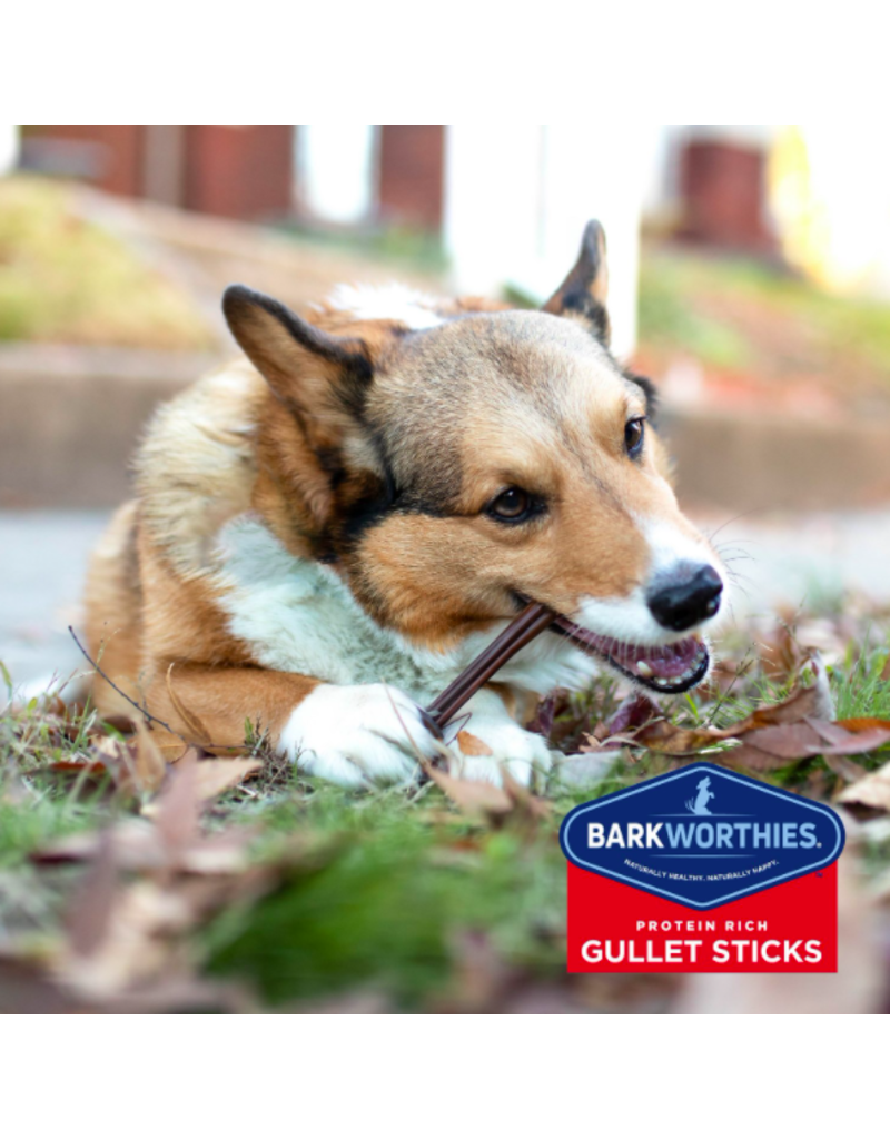 Barkworthies Barkworthies Dog Gullet Stick 6" single