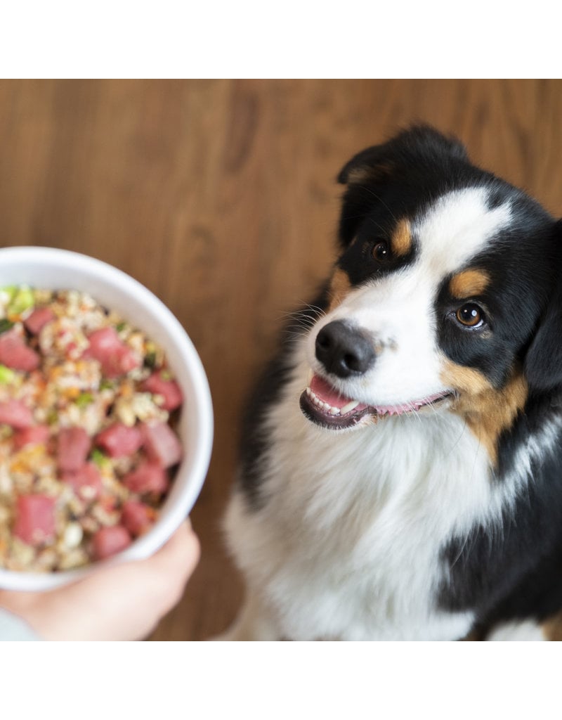 Dr. Harvey's Dr. Harvey's PreMix Dog Food | Canine Health 10 lb