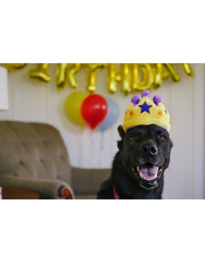 PLAY P.L.A.Y. Party Time Dog Toy Canine Crown