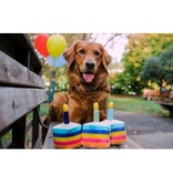 PLAY P.L.A.Y. Party Time Dog Toy Bone-Appetite Cake
