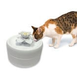 Pioneer Pet Pioneer Pet Drinking Fountain | Magnolia 55 oz