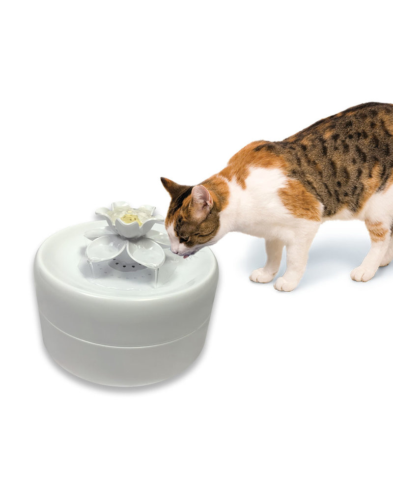 Pioneer Pet Pioneer Pet Drinking Fountain | Magnolia 55 oz