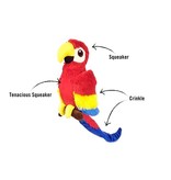 PLAY P.L.A.Y.  Paula the Parrot