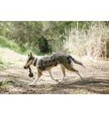 PLAY P.L.A.Y. Scout & About Rope Barbell Toy Small