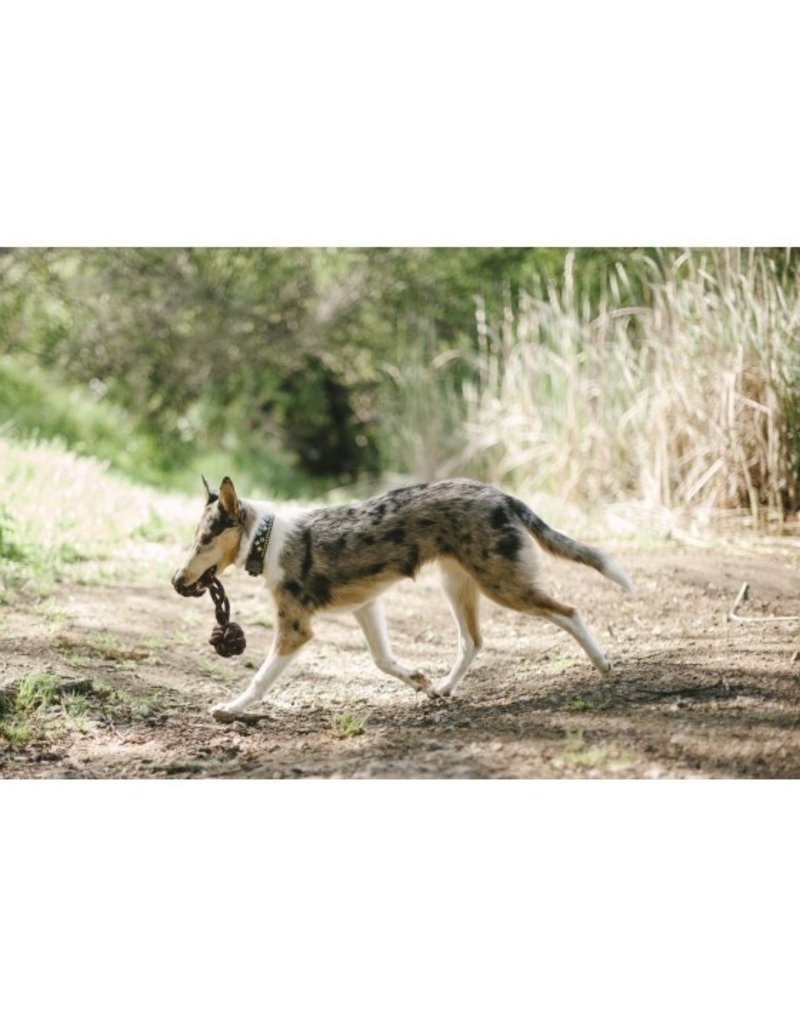 PLAY P.L.A.Y. Scout & About Rope Barbell Toy Small