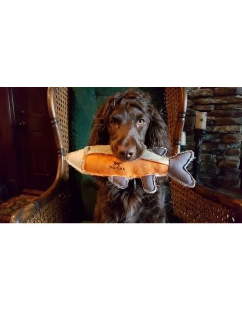 Tall Tails Tall Tails Dog Toy Canvas Fish Sage & Orange 16 in