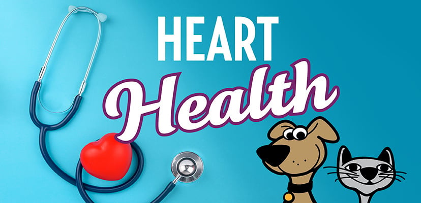 Heart Health For Dogs & Cats