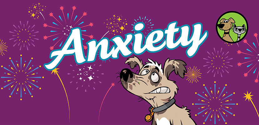 How To Reduce Anxiety In Dogs