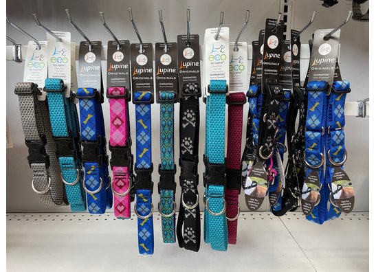 Dog Collars