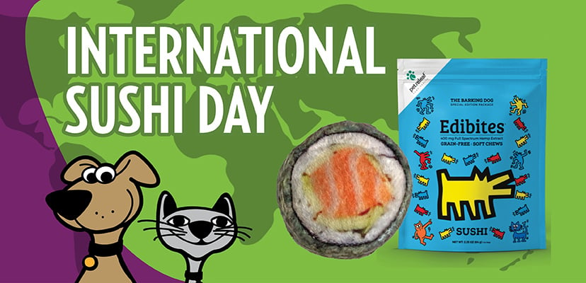 International Sushi Day