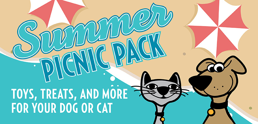 The Best Summer Essentials For Cats & Dogs