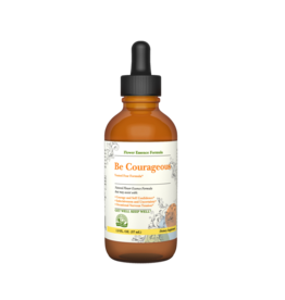 Nature's Sunshine Nature's Sunshine Flower Essence Formula Tinctures  Be Courageous 1.9 fl oz