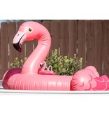 PLAY P.L.A.Y. Dog Toys Tropical Paradise Collection | Flamingo Float