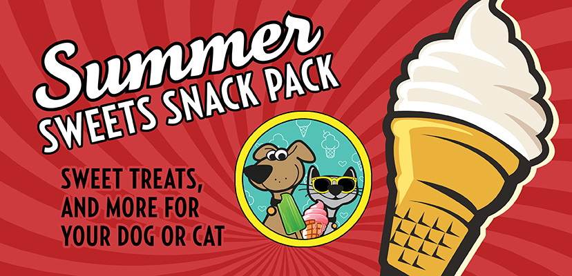 The Best Summer Sweets For Cats & Dogs