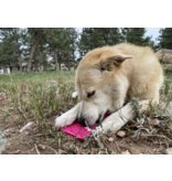 SodaPup SodaPup E-Mat | Flower Power Mini