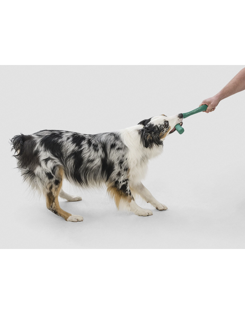 West Paw West Paw Sea Flex Dog Toys | Snorkl Emerald Large