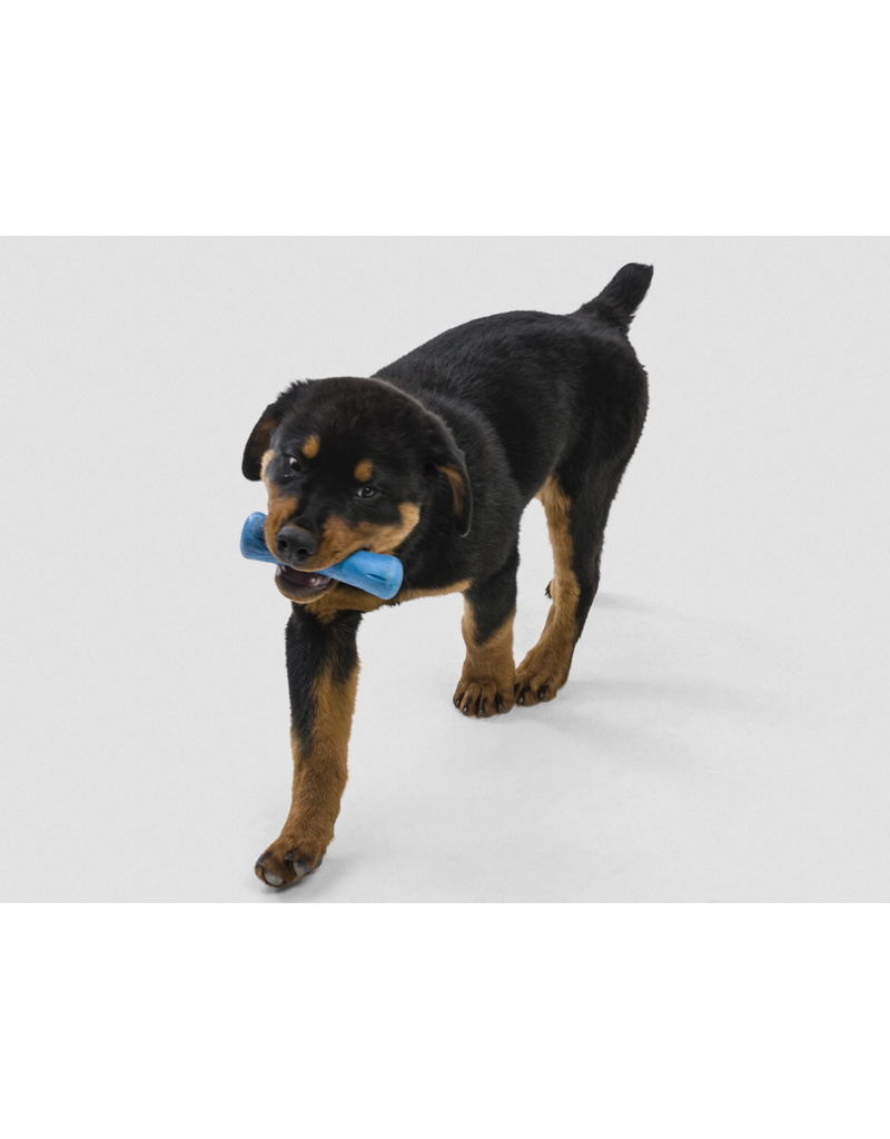 West Paw West Paw Sea Flex Dog Toys | Drifty Surf Small