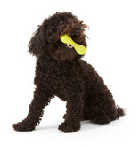 West Paw West Paw Holiday Dog Toys | Hurley Red Small