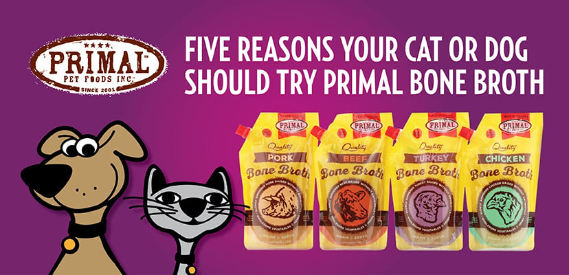 Five Reasons Your Cat or Dog Should Try Primal Bone Broth