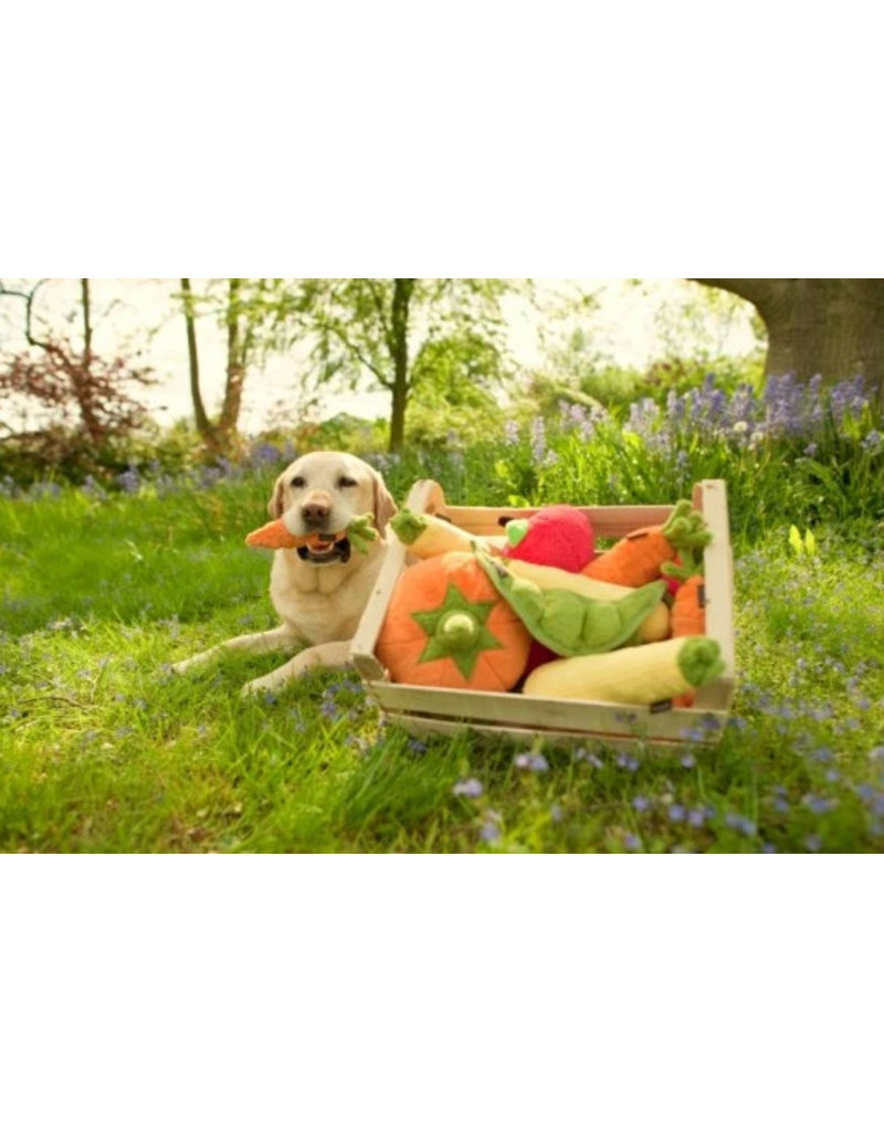 PLAY P.L.A.Y. Dog Toys Garden Fresh Collection | Carrot