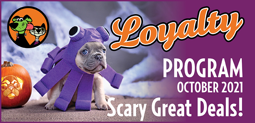 October’s Spooktacular Savings for Cats and Dogs